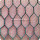 PVC Coted Hexagonal Wire Netting För Kyckling House